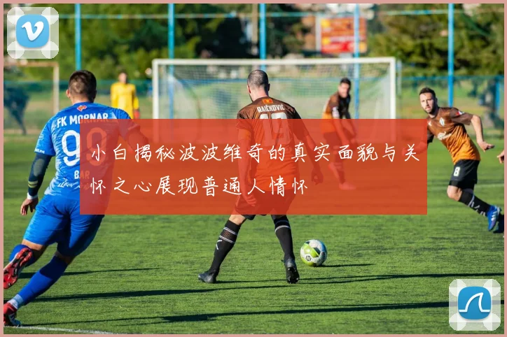 小白揭秘波波维奇的真实面貌与关怀之心展现普通人情怀